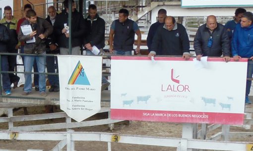 Desde 2003, la empresa Lalor SA prepara un remate especial a beneficio de la Obra del Padre Mario.