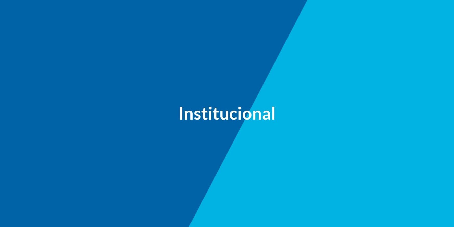 institucional cena anual mercadillo